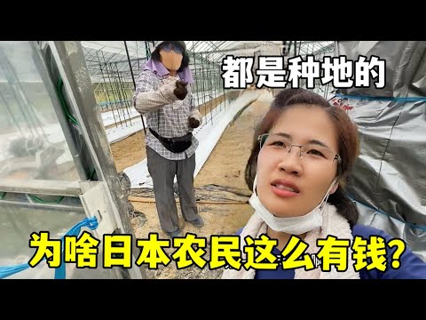 活塞主帅强,开局全力进,打造侵略性,世界杯半决赛,2026世界杯,赛程分析,比赛详情,球队对决